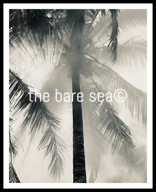 PRINT | NEUTRALS AUSTRALIA | RAYS