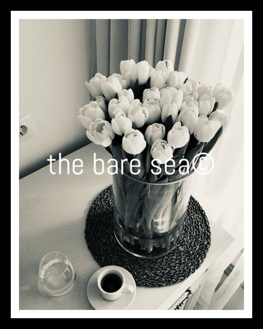 PRINT | NEUTRALS AUSTRALIA | TULIPS