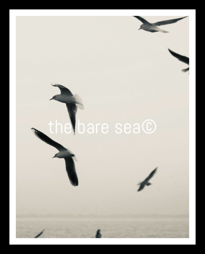 PRINT | NEUTRALS AUSTRALIA | FLYING