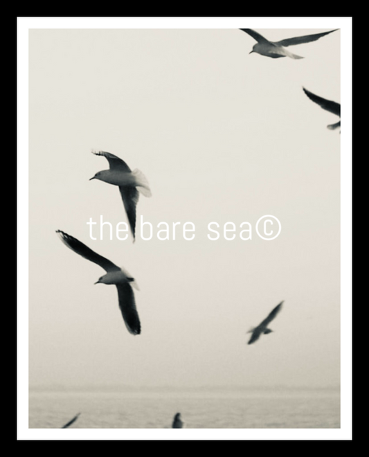 PRINT | NEUTRALS AUSTRALIA | FLYING
