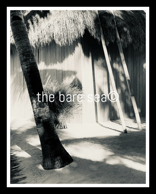 PRINT | NEUTRALS AUSTRALIA | SHADE